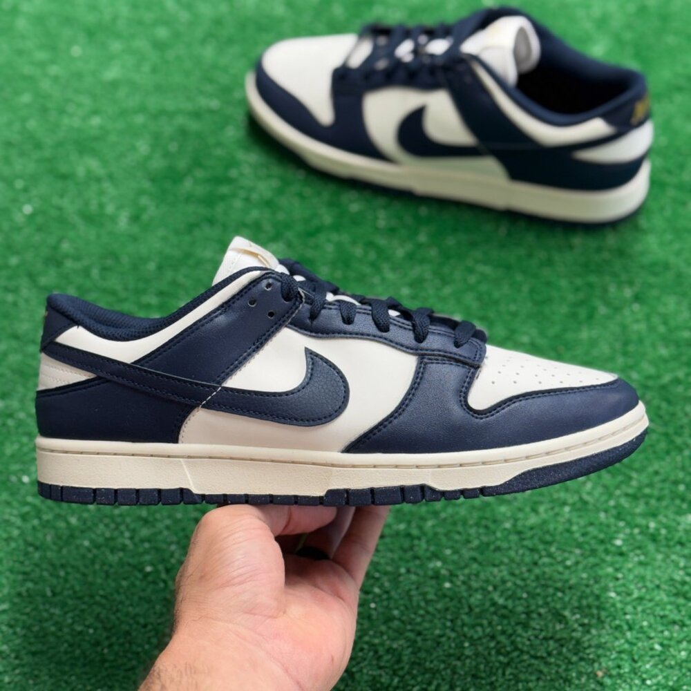 Nike Dunk Low Next Nature Olympic Womens FZ6770-001 VNDS Sz 12